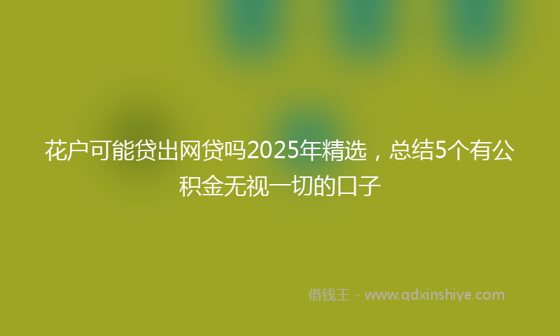 花户可能贷出网贷吗2025年精选，总结5个有公积金无视一切的口子