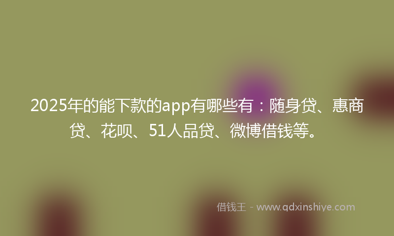 2025年的能下款的app有哪些有：随身贷、惠商贷、花呗、51人品贷、微博借钱等。