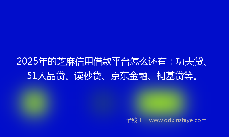 2025年的芝麻信用借款平台怎么还有：功夫贷、51人品贷、读秒贷、京东金融、柯基贷等。