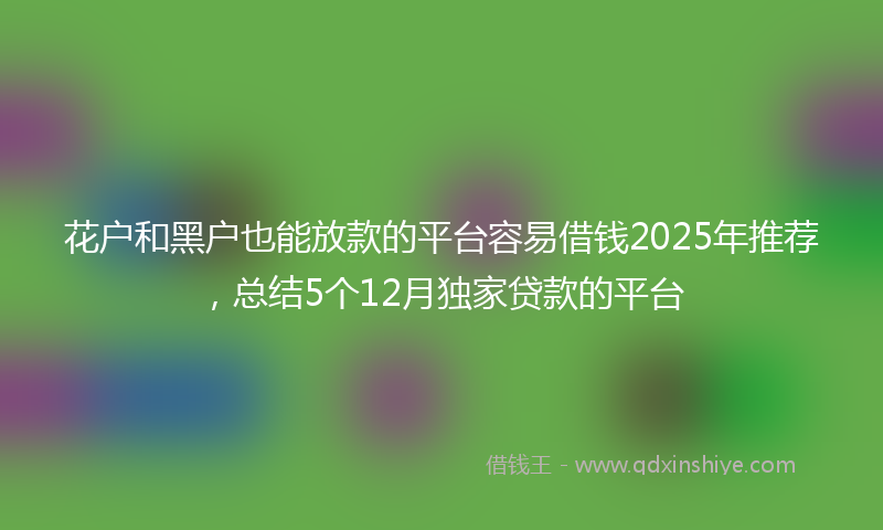 花户和黑户也能放款的平台容易借钱2025年推荐，总结5个12月独家贷款的平台