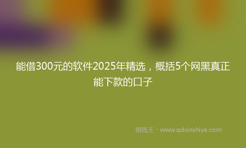 能借300元的软件2025年精选，概括5个网黑真正能下款的口子
