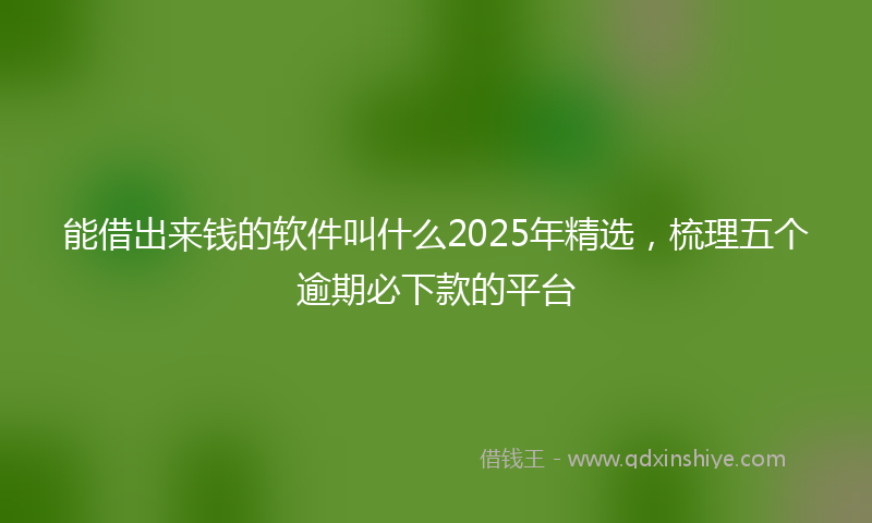 能借出来钱的软件叫什么2025年精选，梳理五个逾期必下款的平台