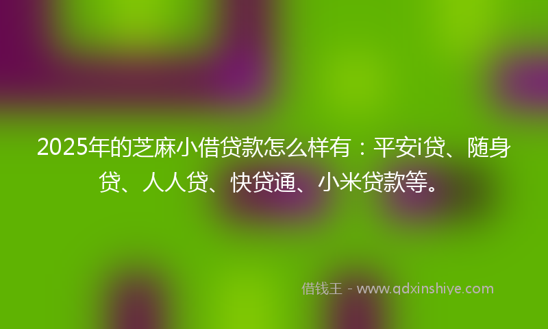 2025年的芝麻小借贷款怎么样有：平安i贷、随身贷、人人贷、快贷通、小米贷款等。