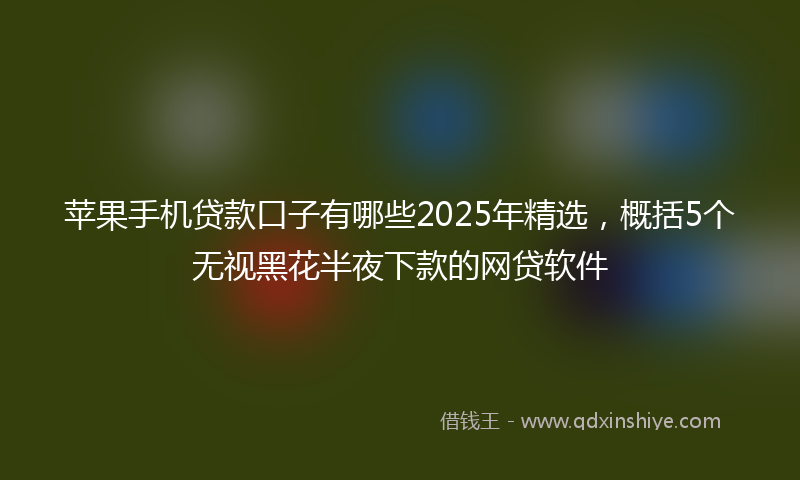 苹果手机贷款口子有哪些2025年精选，概括5个无视黑花半夜下款的网贷软件