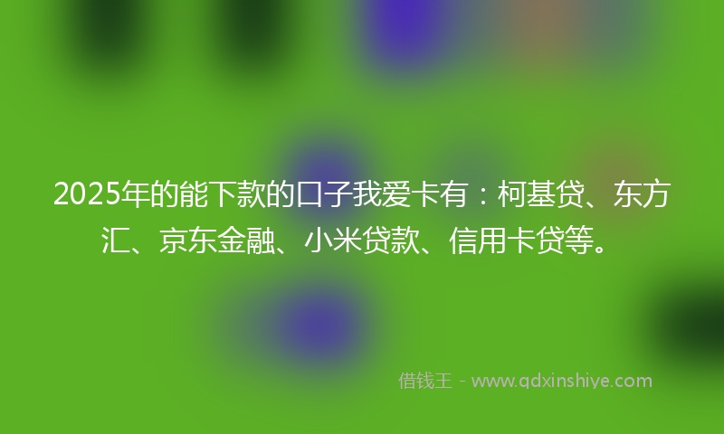 2025年的能下款的口子我爱卡有：柯基贷、东方汇、京东金融、小米贷款、信用卡贷等。