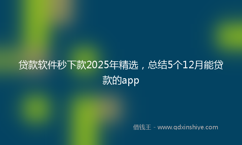 贷款软件秒下款2025年精选，总结5个12月能贷款的app