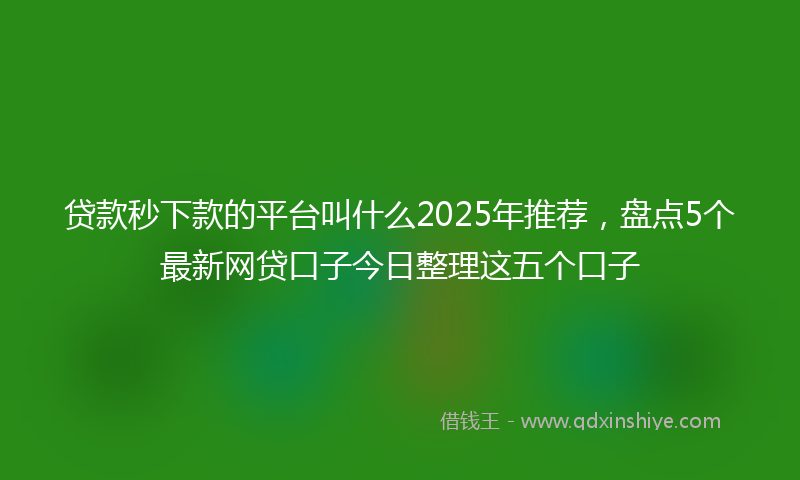 贷款秒下款的平台叫什么2025年推荐，盘点5个最新网贷口子今日整理这五个口子