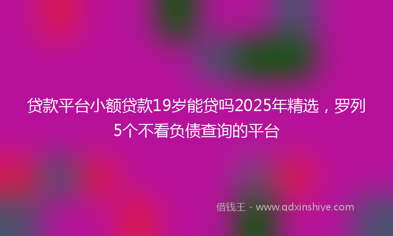 贷款平台小额贷款19岁能贷吗2025年精选，罗列5个不看负债查询的平台