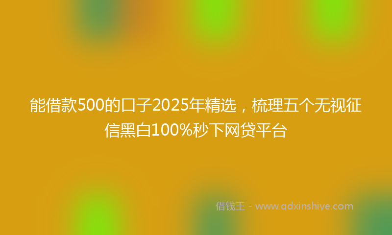 能借款500的口子2025年精选，梳理五个无视征信黑白100%秒下网贷平台