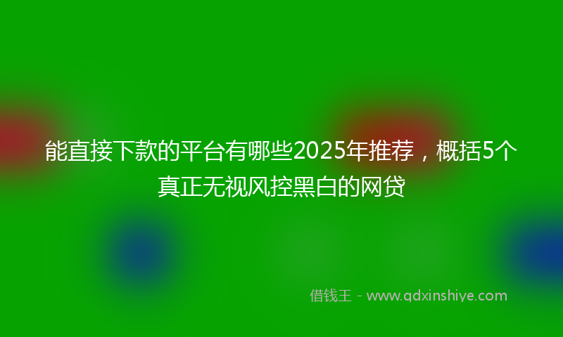 能直接下款的平台有哪些2025年推荐，概括5个真正无视风控黑白的网贷