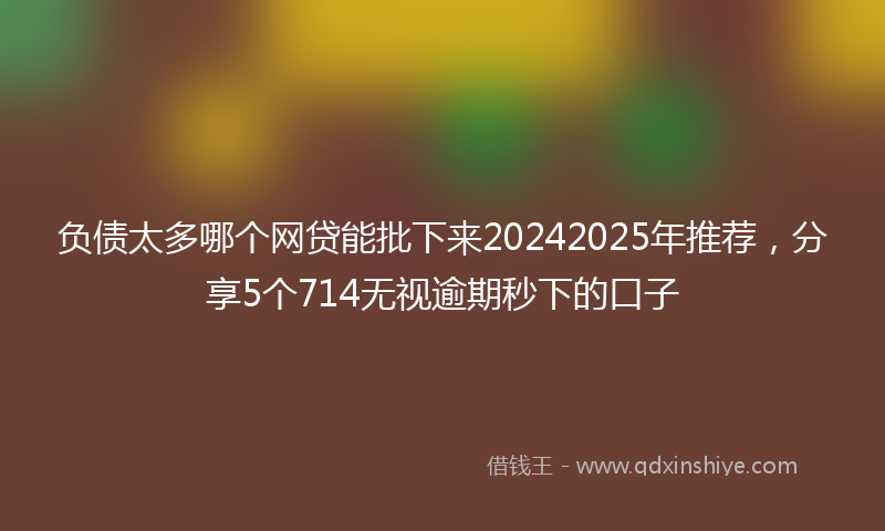 负债太多哪个网贷能批下来20242025年推荐，分享5个714无视逾期秒下的口子