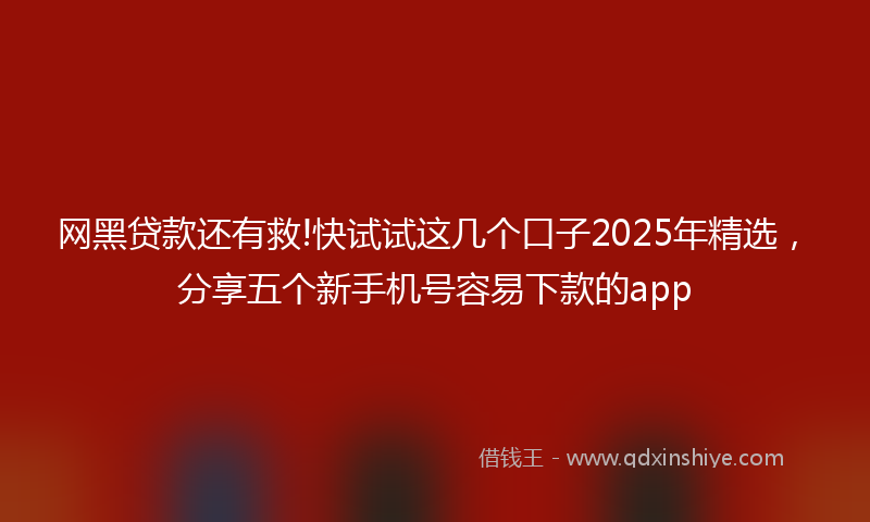 网黑贷款还有救!快试试这几个口子2025年精选，分享五个新手机号容易下款的app