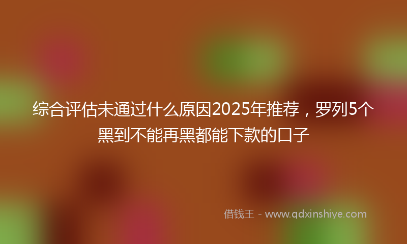综合评估未通过什么原因2025年推荐，罗列5个黑到不能再黑都能下款的口子