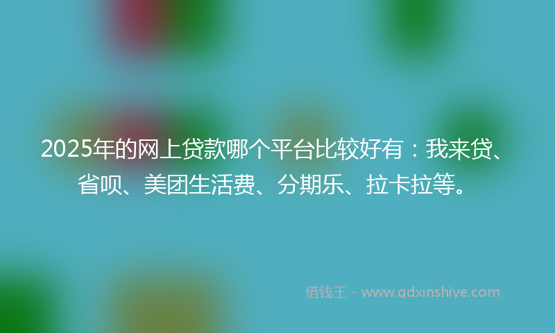 2025年的网上贷款哪个平台比较好有：我来贷、省呗、美团生活费、分期乐、拉卡拉等。