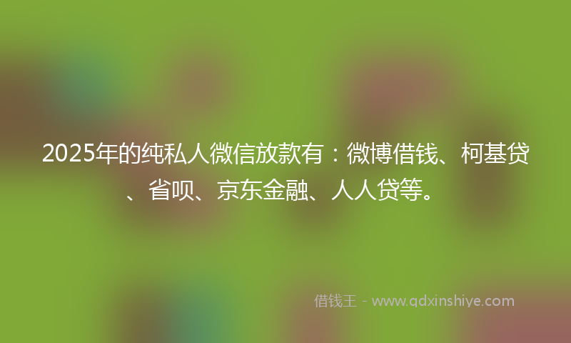 2025年的纯私人微信放款有：微博借钱、柯基贷、省呗、京东金融、人人贷等。