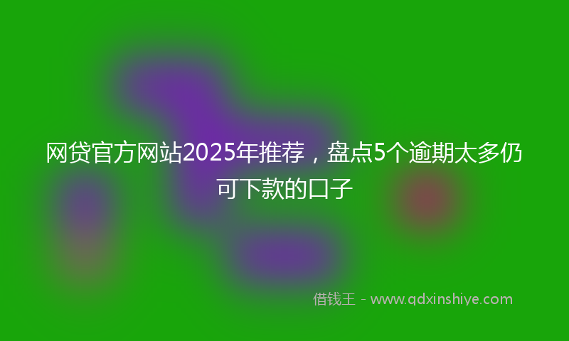 网贷官方网站2025年推荐，盘点5个逾期太多仍可下款的口子
