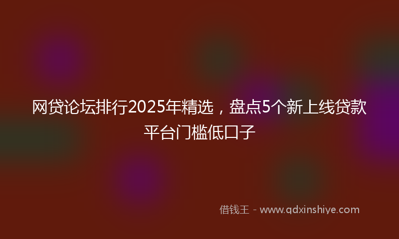 网贷论坛排行2025年精选，盘点5个新上线贷款平台门槛低口子
