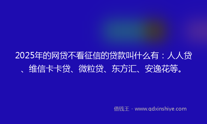 2025年的网贷不看征信的贷款叫什么有：人人贷、维信卡卡贷、微粒贷、东方汇、安逸花等。