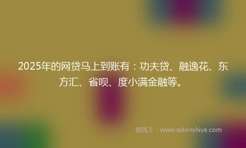 2025年的网贷马上到账有：功夫贷、融逸花、东方汇、省呗、度小满金融等。