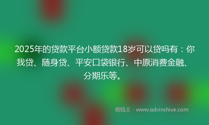 2025年的贷款平台小额贷款18岁可以贷吗有：你我贷、随身贷、平安口袋银行、中原消费金融、分期乐等。