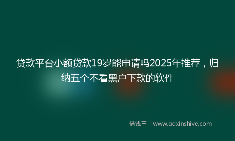 贷款平台小额贷款19岁能申请吗2025年推荐，归纳五个不看黑户下款的软件