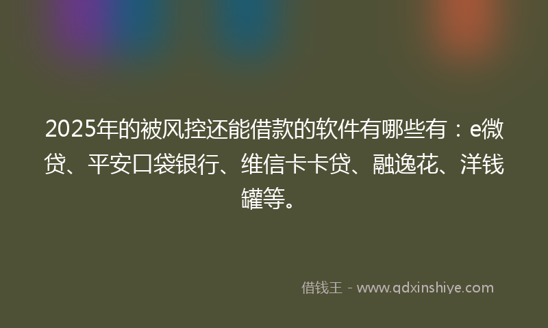 2025年的被风控还能借款的软件有哪些有：e微贷、平安口袋银行、维信卡卡贷、融逸花、洋钱罐等。