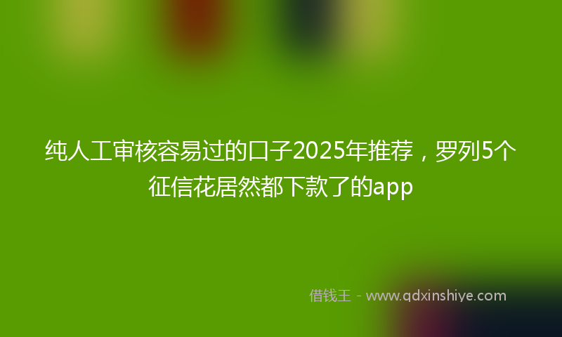 纯人工审核容易过的口子2025年推荐，罗列5个征信花居然都下款了的app