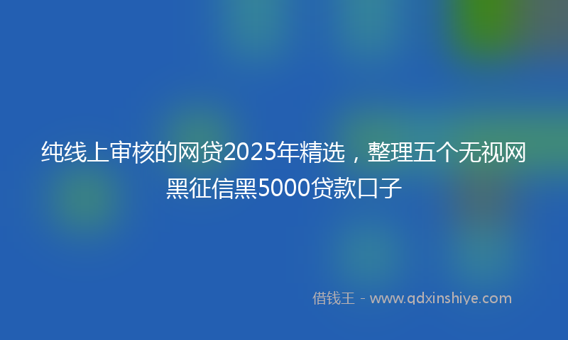 纯线上审核的网贷2025年精选，整理五个无视网黑征信黑5000贷款口子