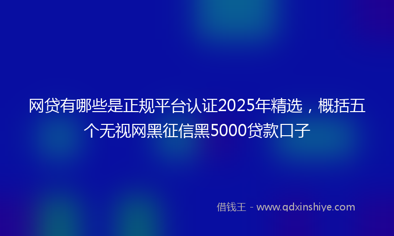 网贷有哪些是正规平台认证2025年精选，概括五个无视网黑征信黑5000贷款口子