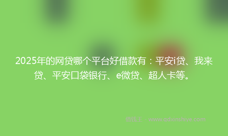 2025年的网贷哪个平台好借款有：平安i贷、我来贷、平安口袋银行、e微贷、超人卡等。