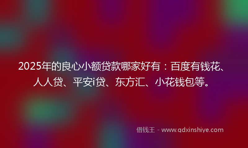 2025年的良心小额贷款哪家好有：百度有钱花、人人贷、平安i贷、东方汇、小花钱包等。