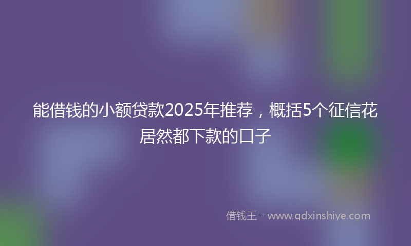 能借钱的小额贷款2025年推荐，概括5个征信花居然都下款的口子