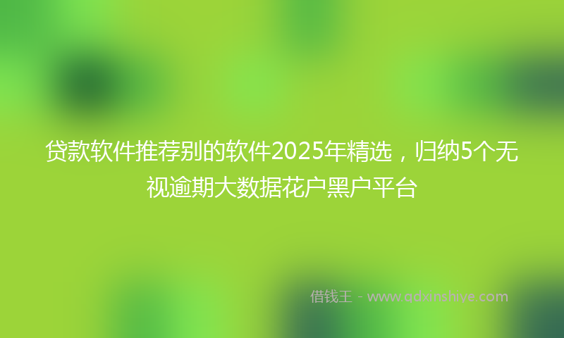 贷款软件推荐别的软件2025年精选，归纳5个无视逾期大数据花户黑户平台