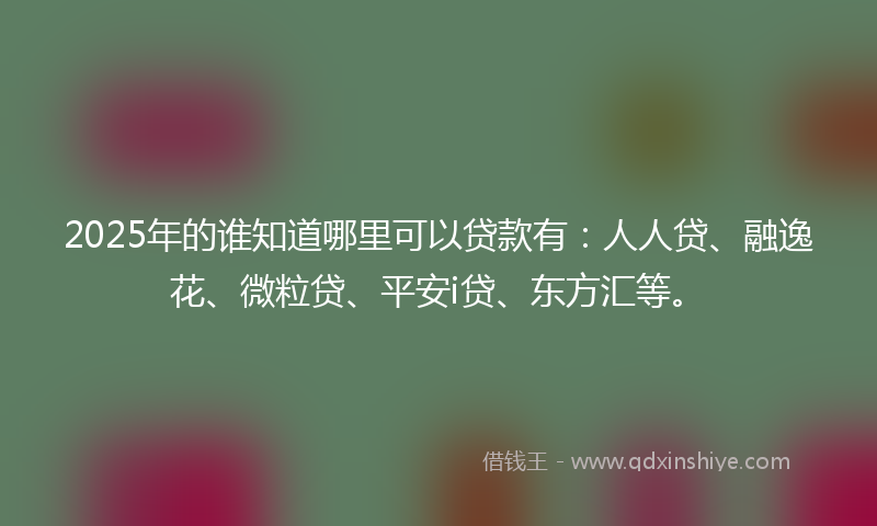 2025年的谁知道哪里可以贷款有：人人贷、融逸花、微粒贷、平安i贷、东方汇等。