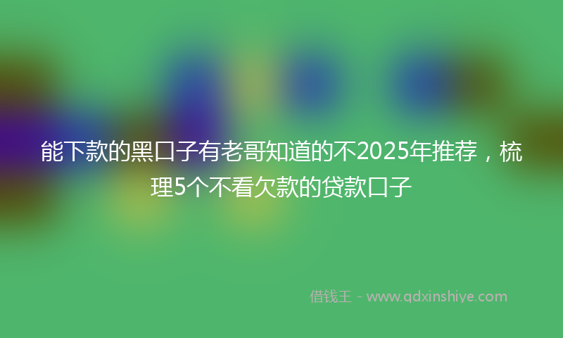 能下款的黑口子有老哥知道的不2025年推荐，梳理5个不看欠款的贷款口子