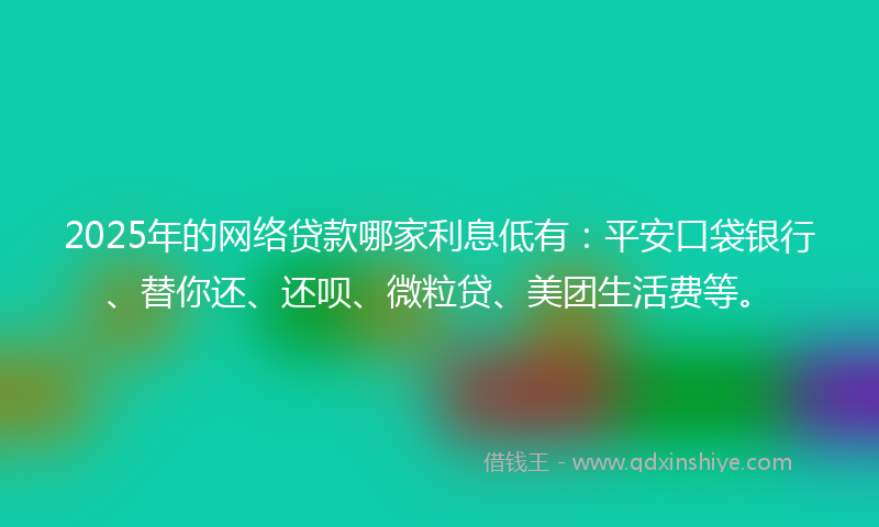 2025年的网络贷款哪家利息低有：平安口袋银行、替你还、还呗、微粒贷、美团生活费等。