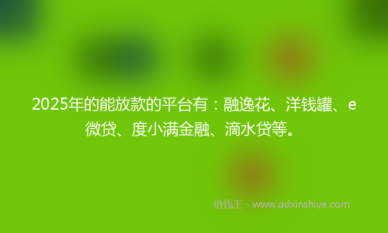 2025年的能放款的平台有：融逸花、洋钱罐、e微贷、度小满金融、滴水贷等。