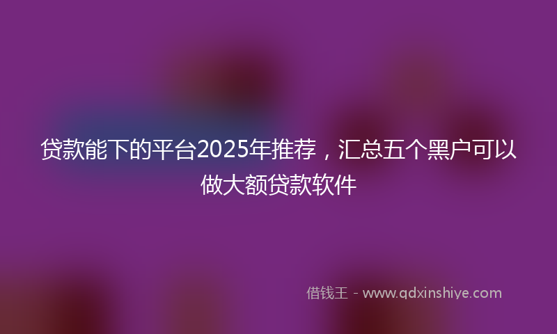 贷款能下的平台2025年推荐，汇总五个黑户可以做大额贷款软件