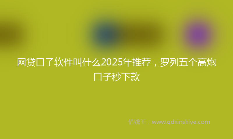 网贷口子软件叫什么2025年推荐，罗列五个高炮口子秒下款