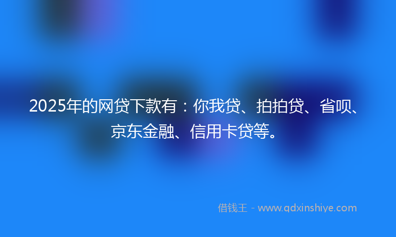2025年的网贷下款有：你我贷、拍拍贷、省呗、京东金融、信用卡贷等。