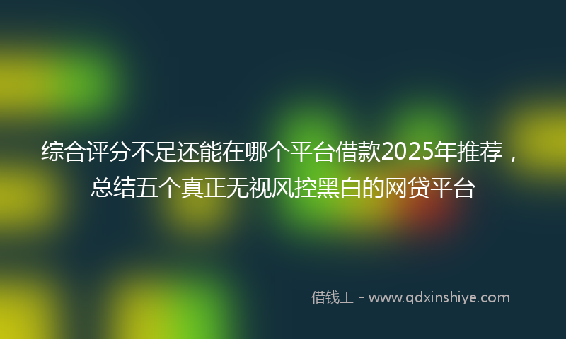 综合评分不足还能在哪个平台借款2025年推荐，总结五个真正无视风控黑白的网贷平台