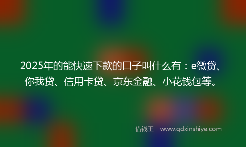 2025年的能快速下款的口子叫什么有：e微贷、你我贷、信用卡贷、京东金融、小花钱包等。
