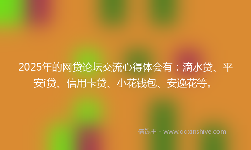 2025年的网贷论坛交流心得体会有：滴水贷、平安i贷、信用卡贷、小花钱包、安逸花等。