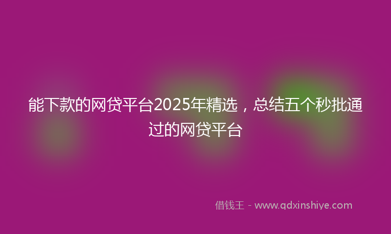 能下款的网贷平台2025年精选，总结五个秒批通过的网贷平台