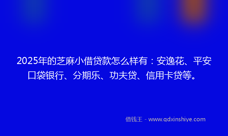 2025年的芝麻小借贷款怎么样有：安逸花、平安口袋银行、分期乐、功夫贷、信用卡贷等。