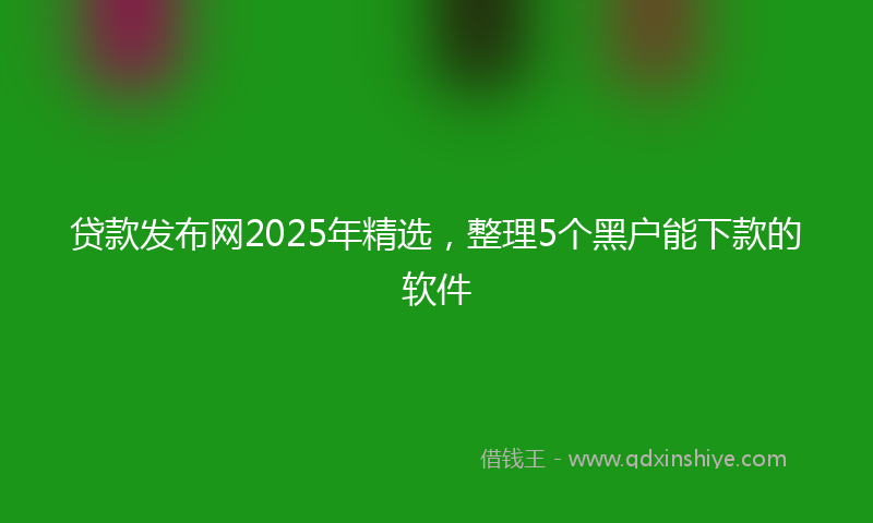 贷款发布网2025年精选，整理5个黑户能下款的软件