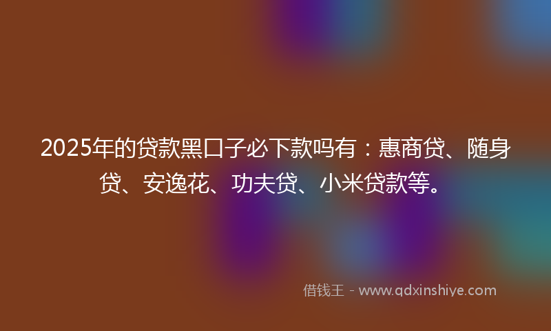 2025年的贷款黑口子必下款吗有：惠商贷、随身贷、安逸花、功夫贷、小米贷款等。