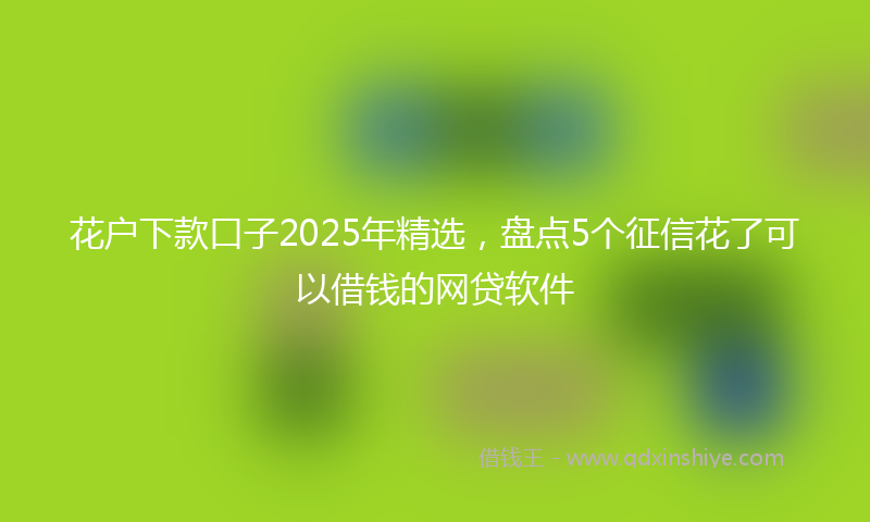 花户下款口子2025年精选，盘点5个征信花了可以借钱的网贷软件