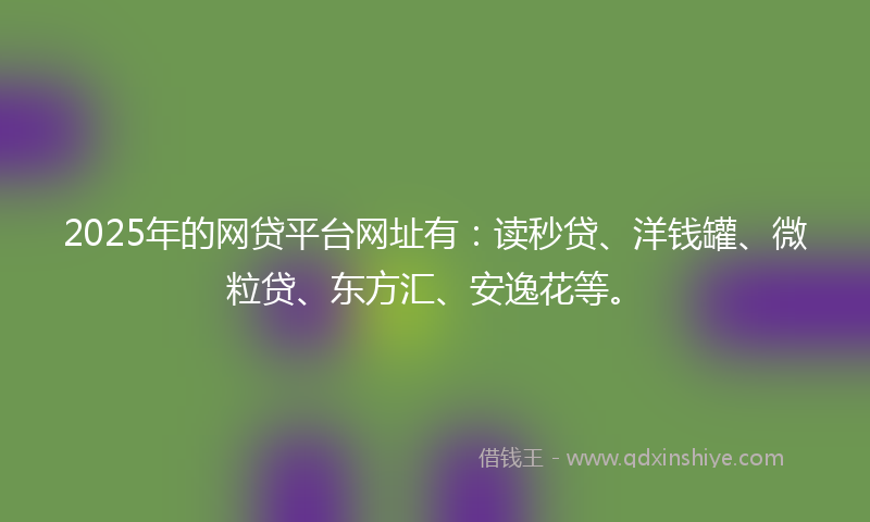 2025年的网贷平台网址有：读秒贷、洋钱罐、微粒贷、东方汇、安逸花等。