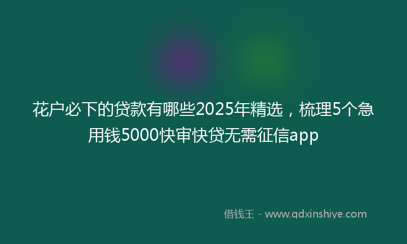 花户必下的贷款有哪些2025年精选，梳理5个急用钱5000快审快贷无需征信app